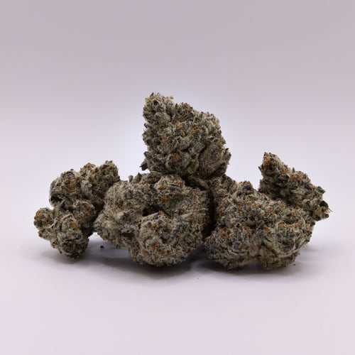 TerpHaus Flower (3.5G)